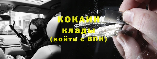 ГАЛЛЮЦИНОГЕННЫЕ ГРИБЫ Янаул