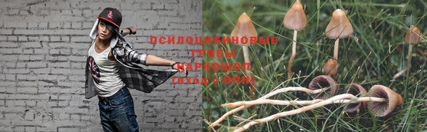 мдпв Заволжск