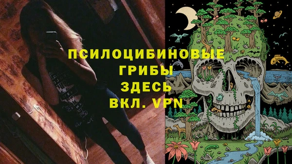 мдпв Заволжск